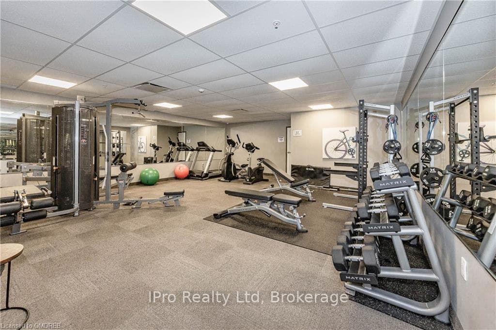 GYM