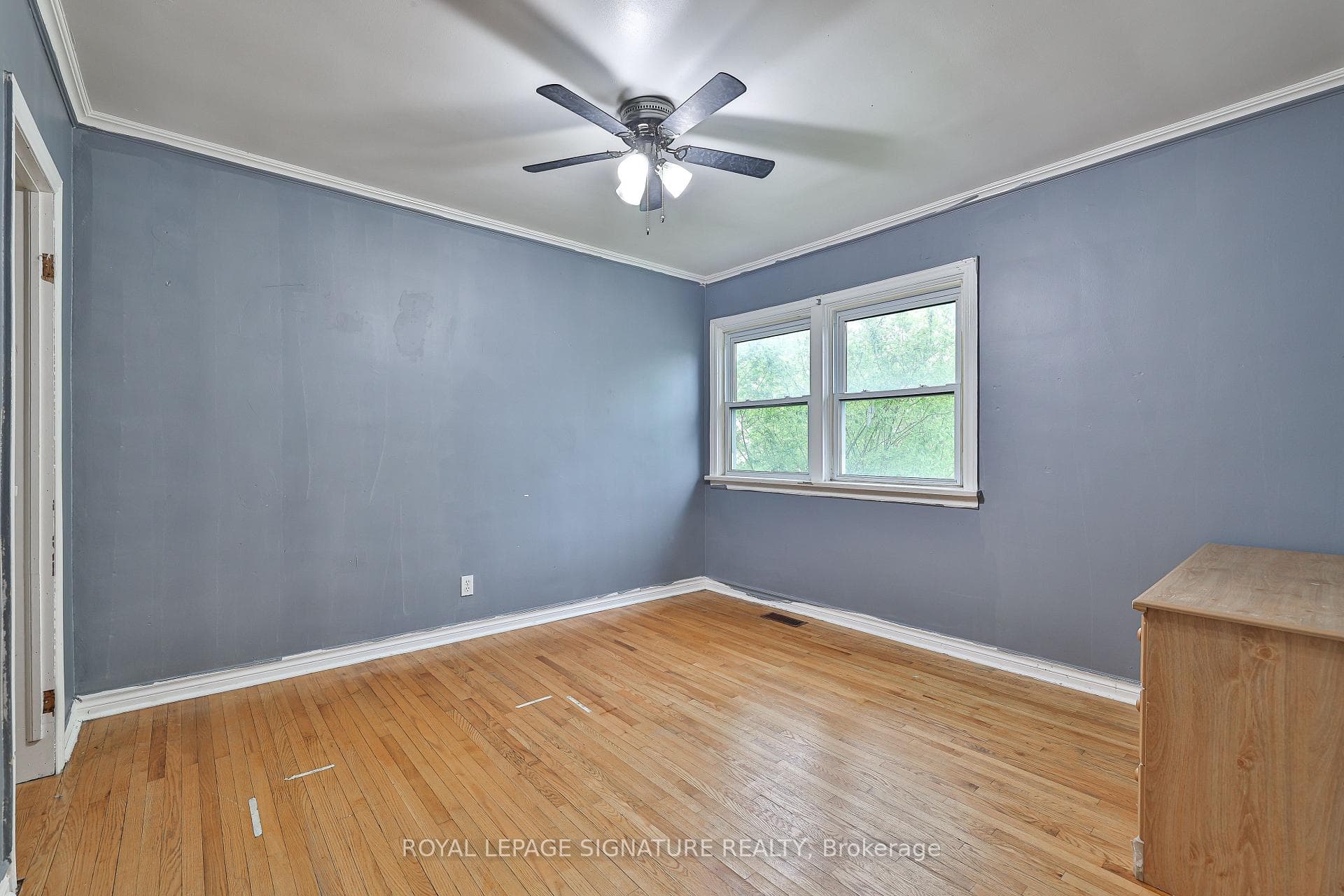 178 Angelene Street photo 9