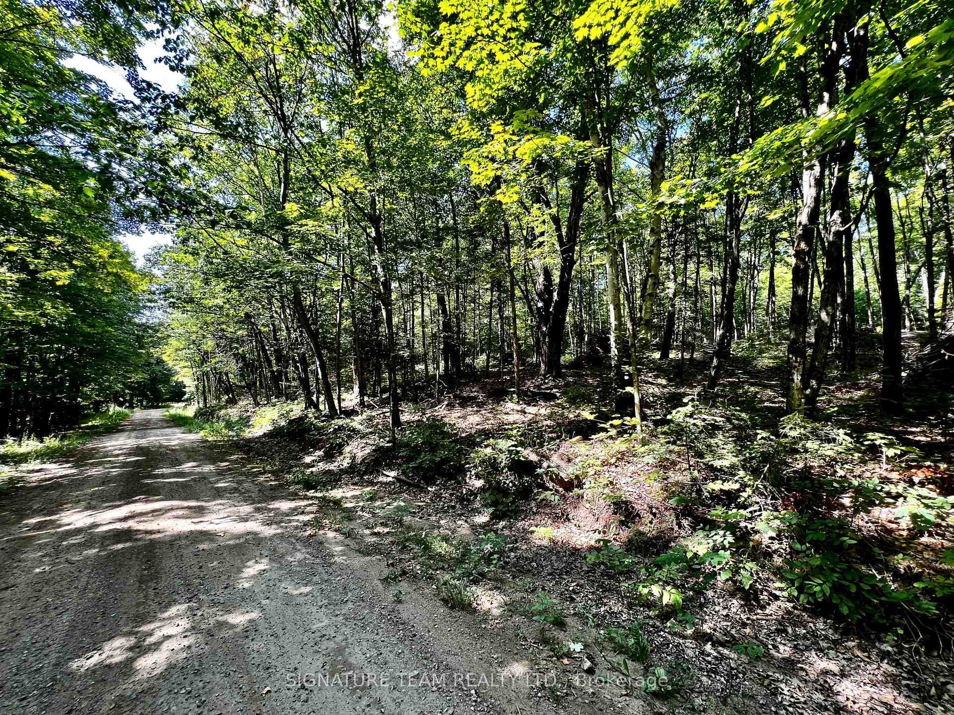 0 Nordic Lane photo 35