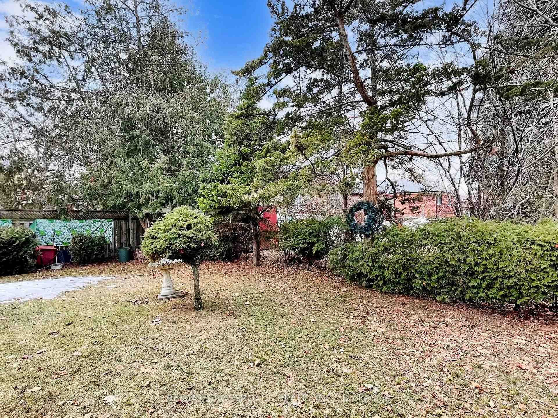 186 Norfolk Avenue photo 50