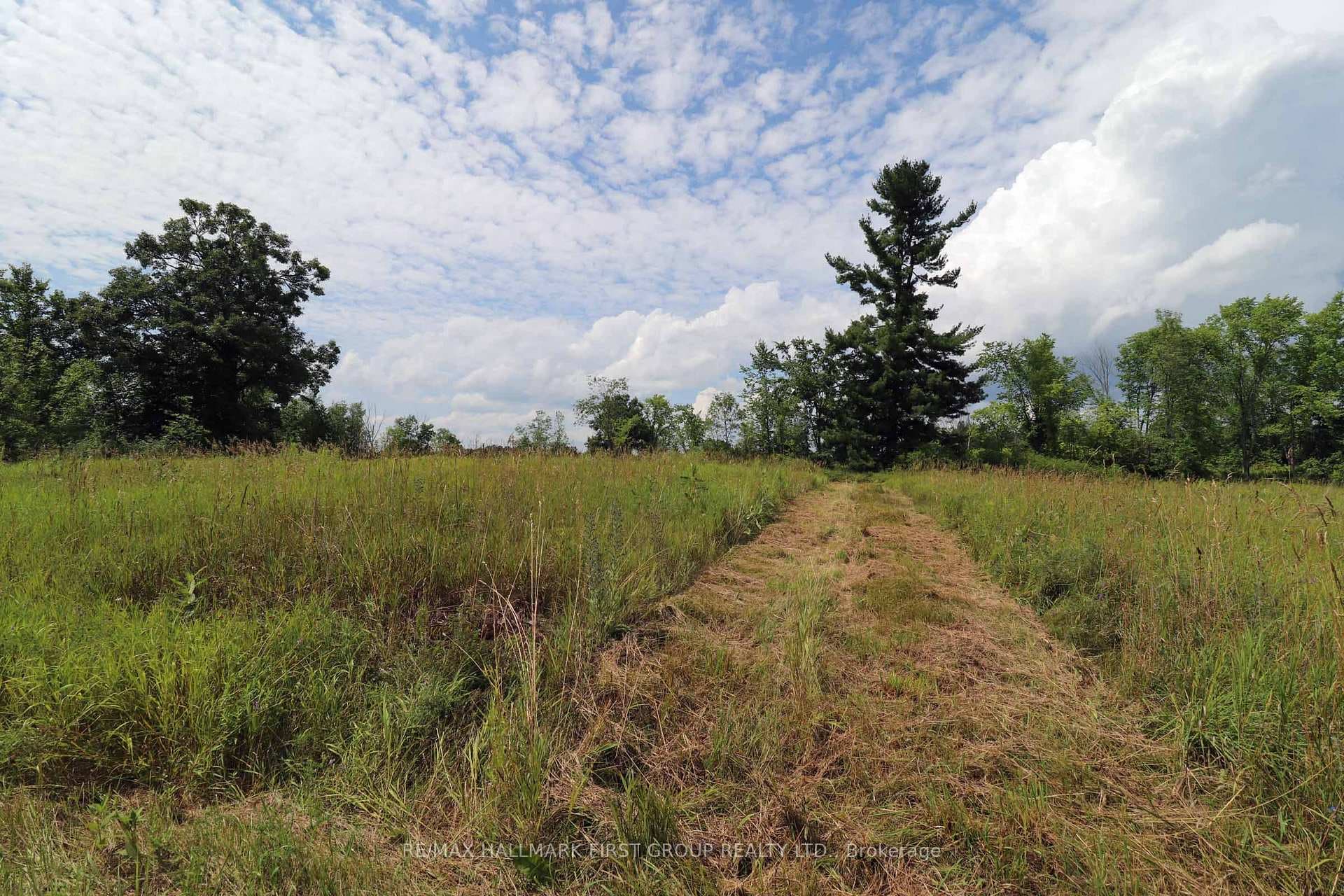 1029 Bronson Rapids Road photo 9