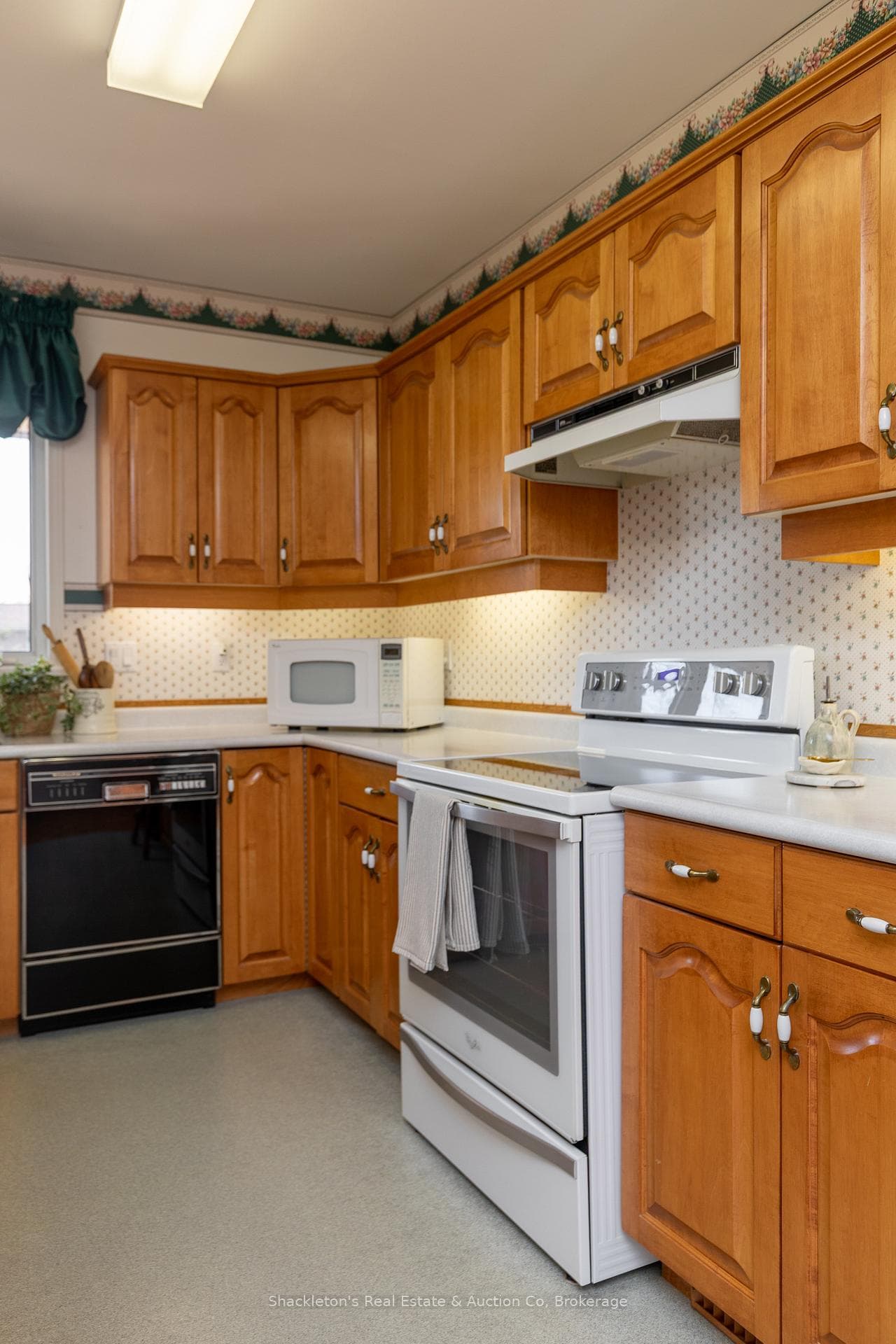 342 Brunswick Street photo 8