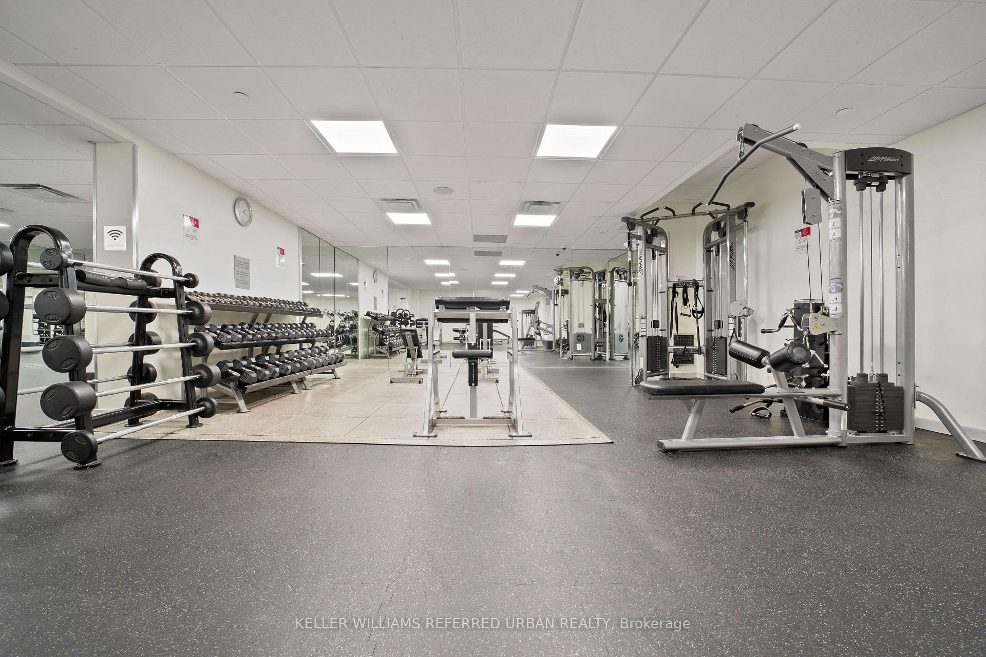 Multiple Evening Gyms