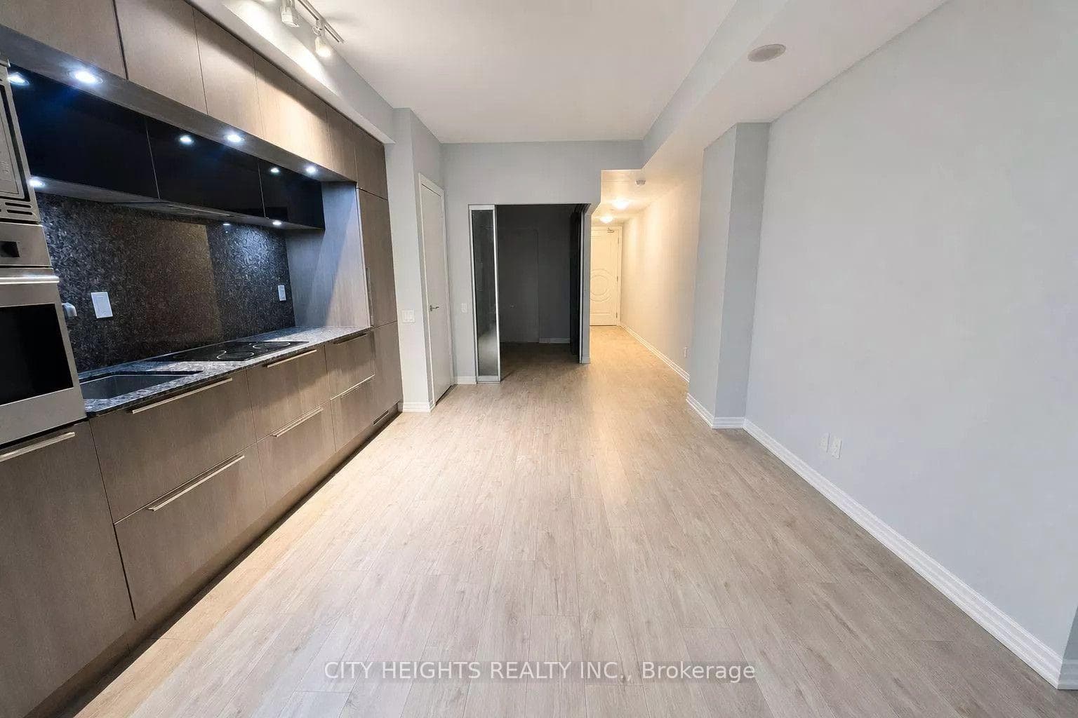 88 Blue Jays Way Unit 1114 photo 8