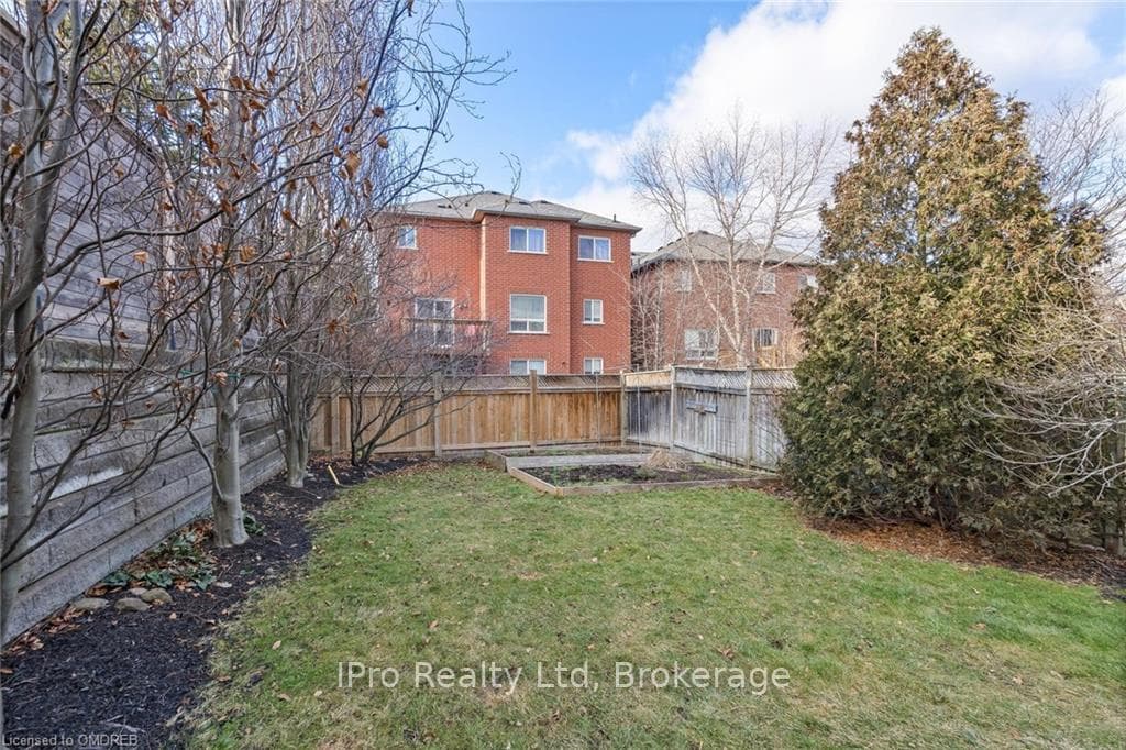 36 GREY OWL N/A photo 35