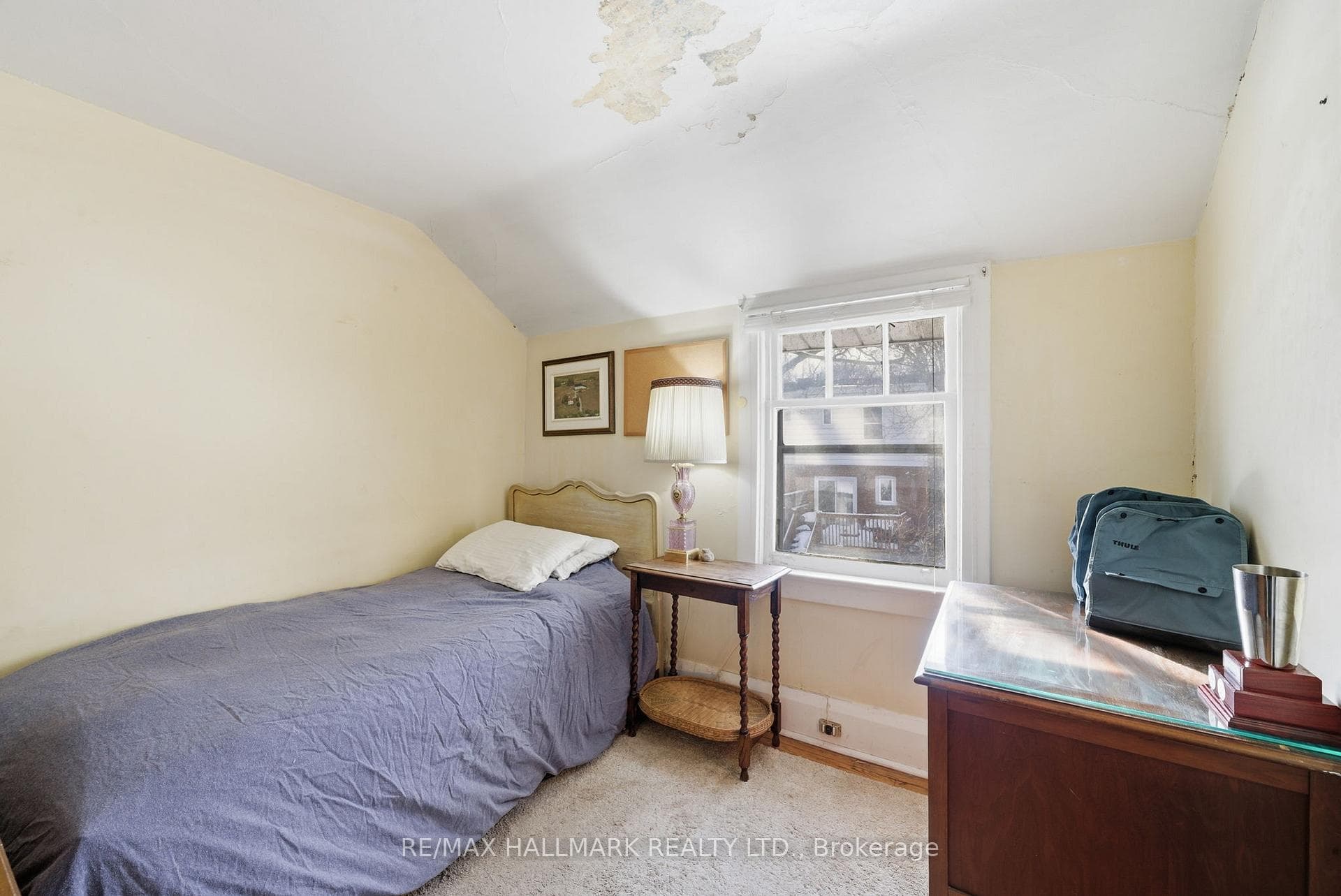 217 Snowdon Avenue photo 21