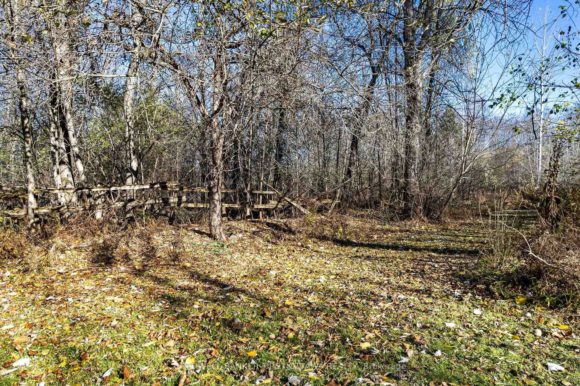 23 acres of nature and peaceful tranquility
