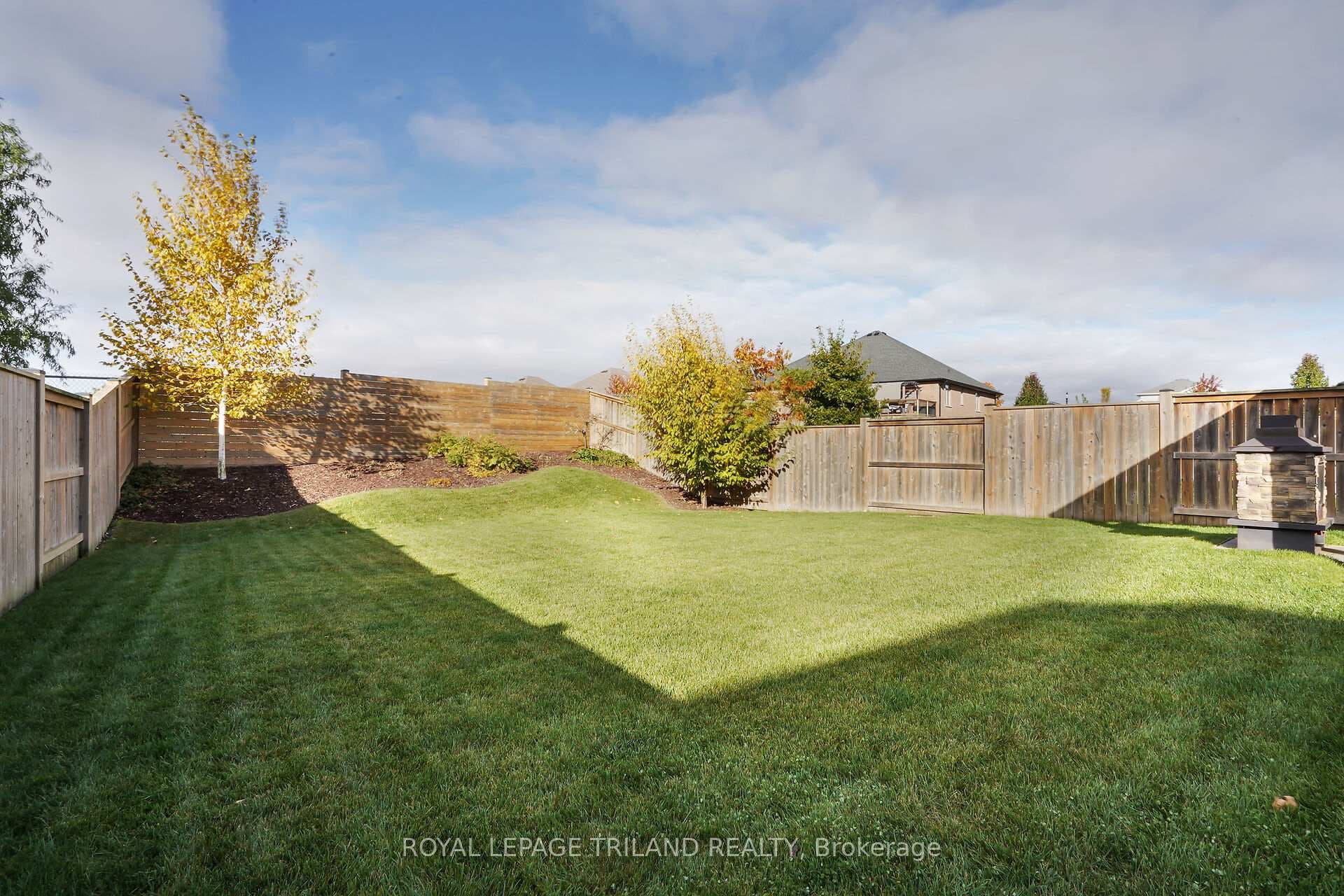 Backyard: Lots of Room