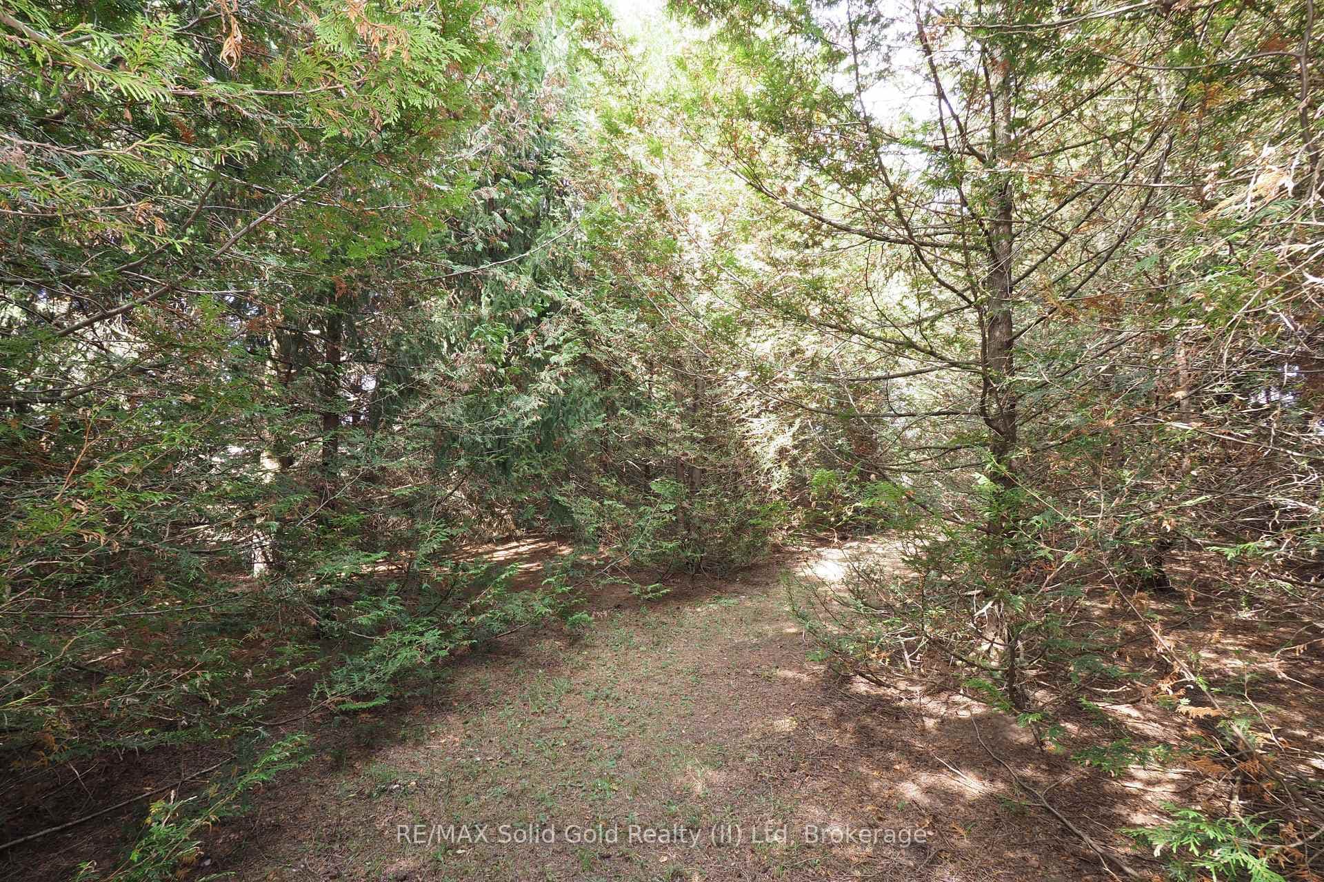 18 Baird Street photo 10