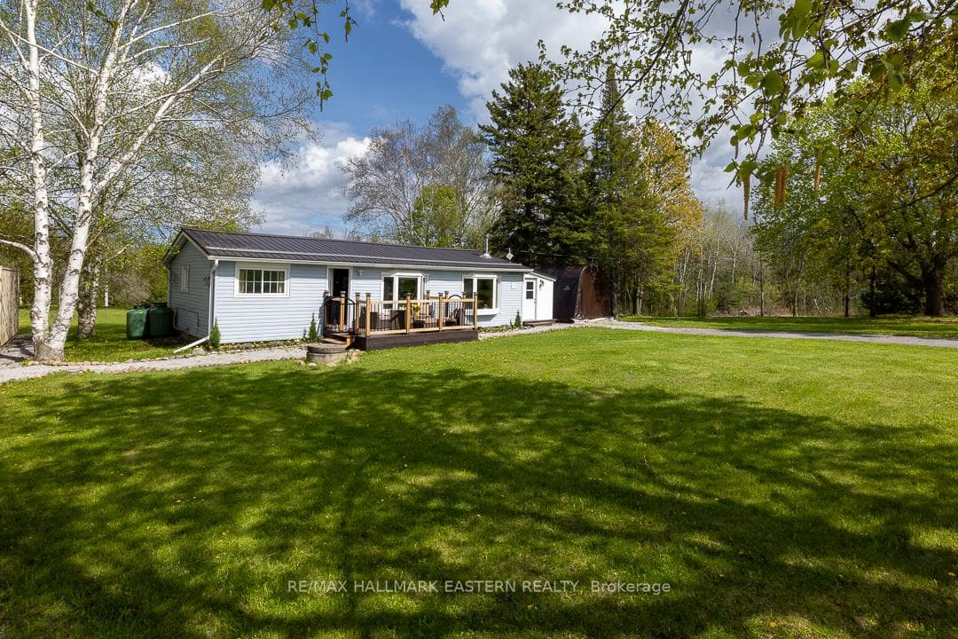 59 Dranoel Drive photo 3