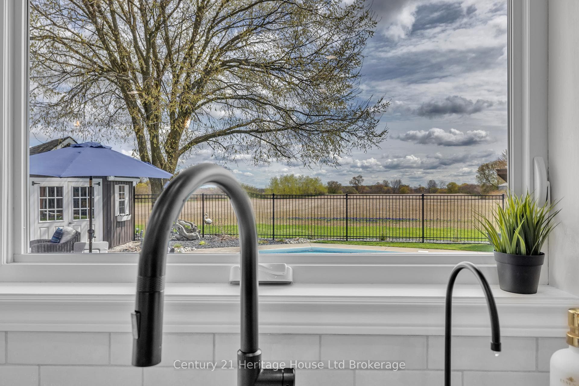 116 Baird Street photo 8