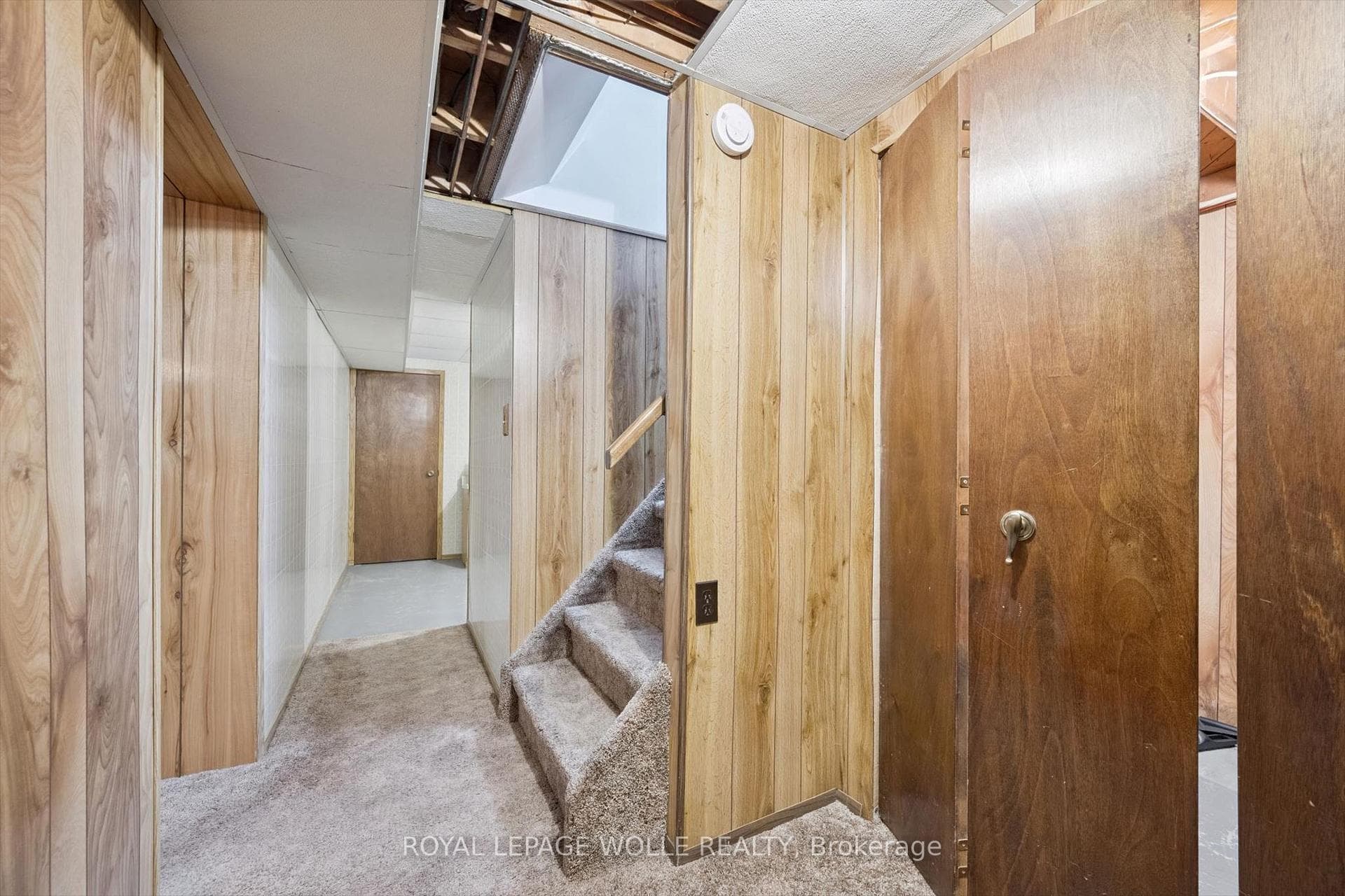 19 Weichel Street photo 34