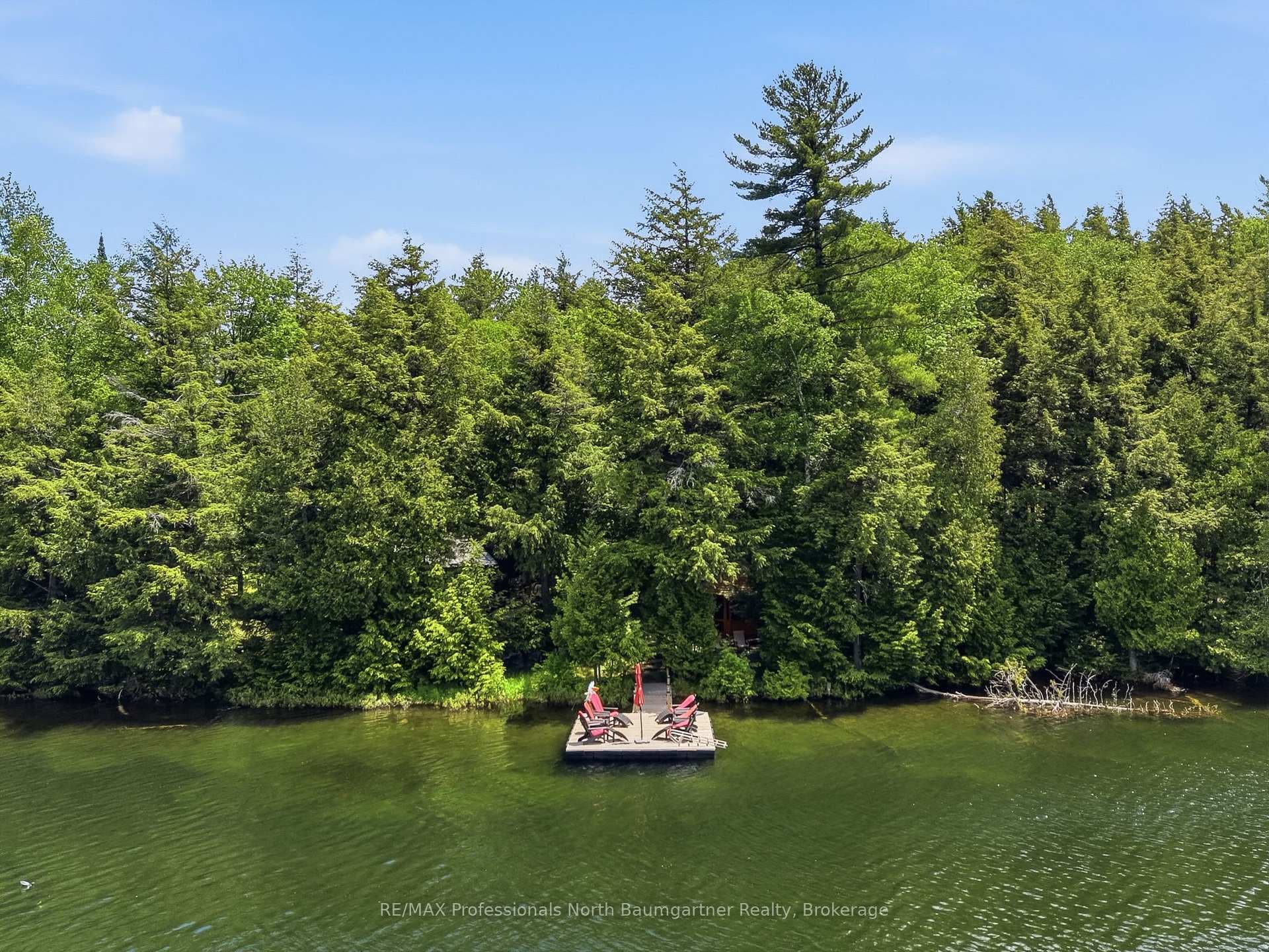 1036 Barnum Lake Drive photo 45
