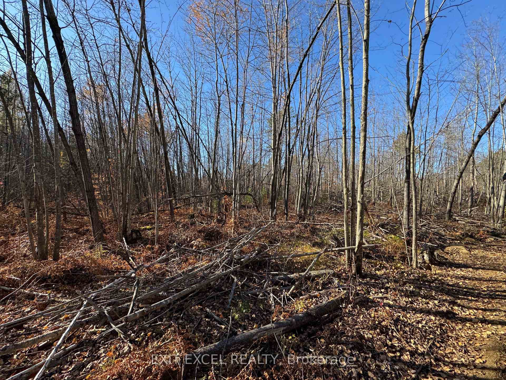 PART 2, PLAN 46R-8228 Boundary Road photo 7