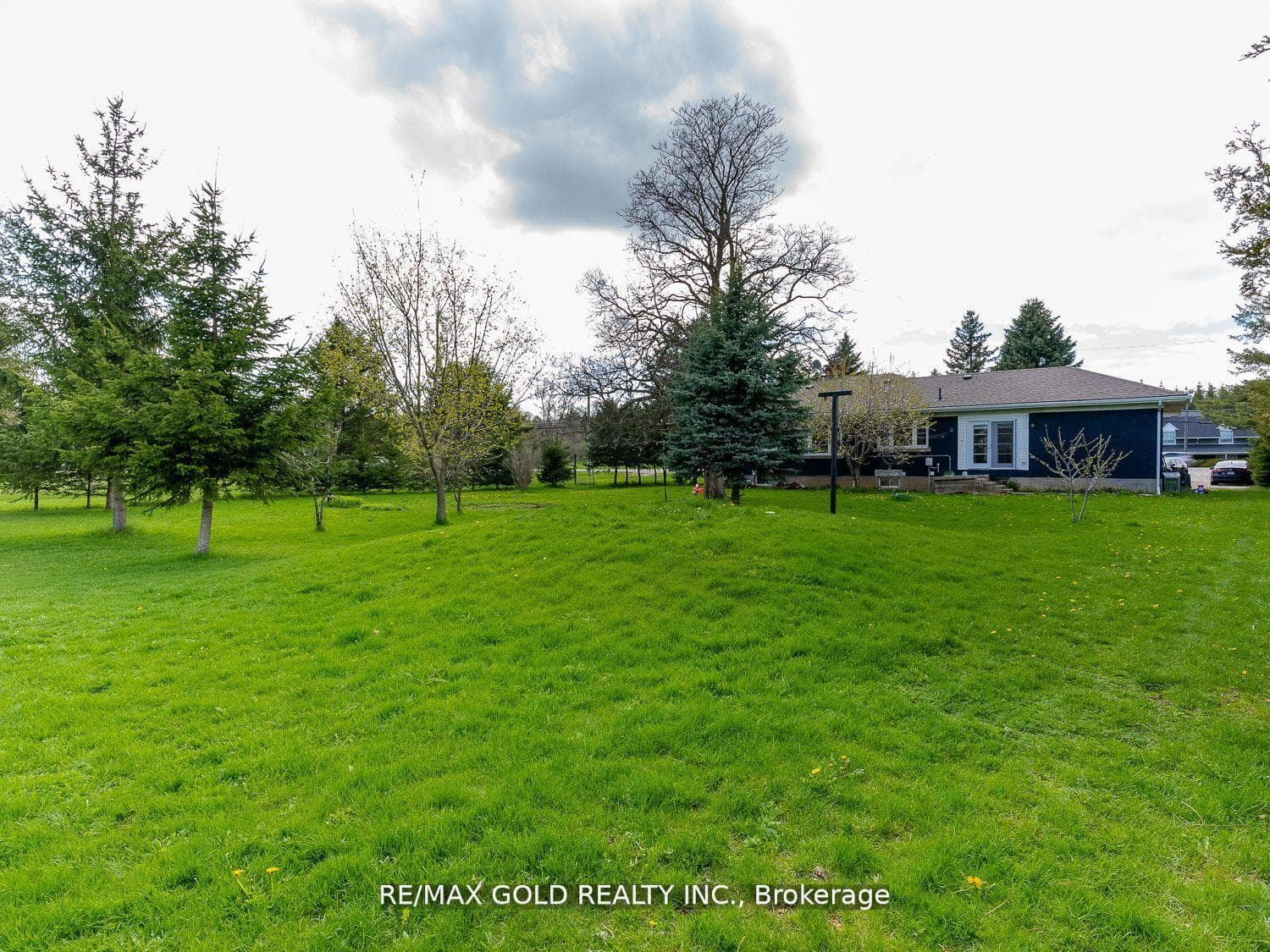 8017 Highway 7 N/A photo 13