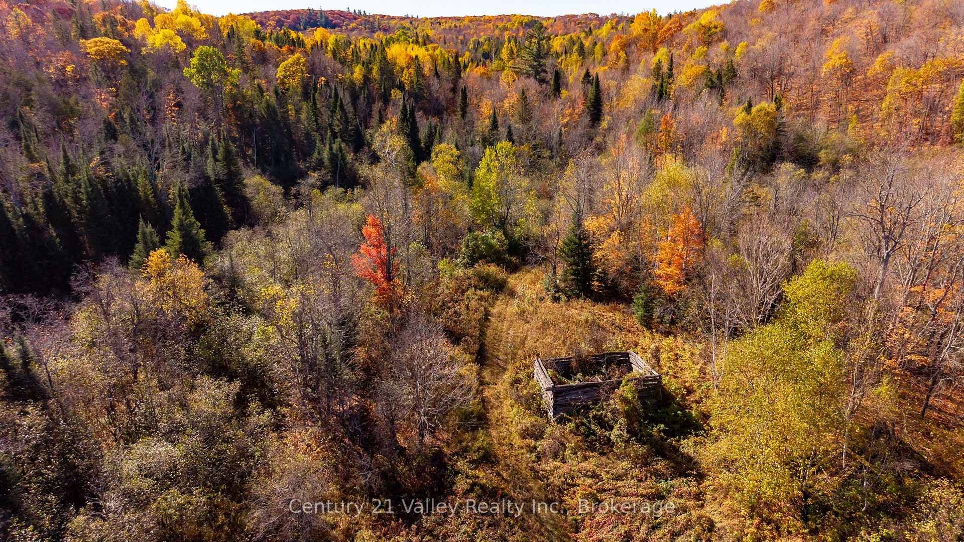 170 Schavens Lake Road photo 35