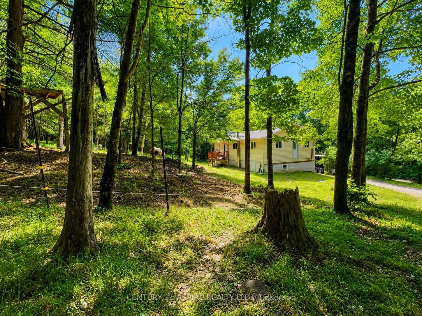202 Brydges Road photo 32