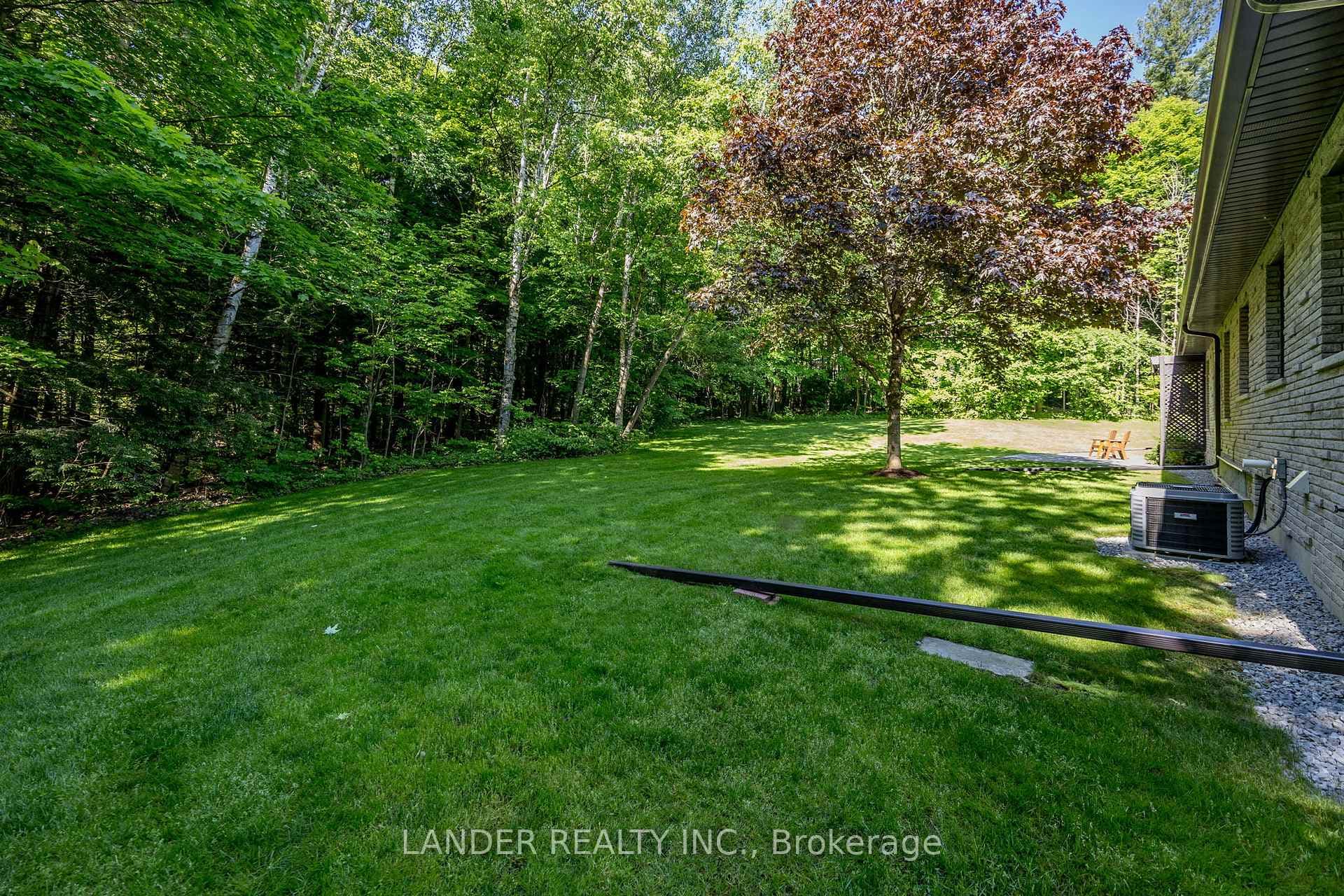 Forest Views Around the Property