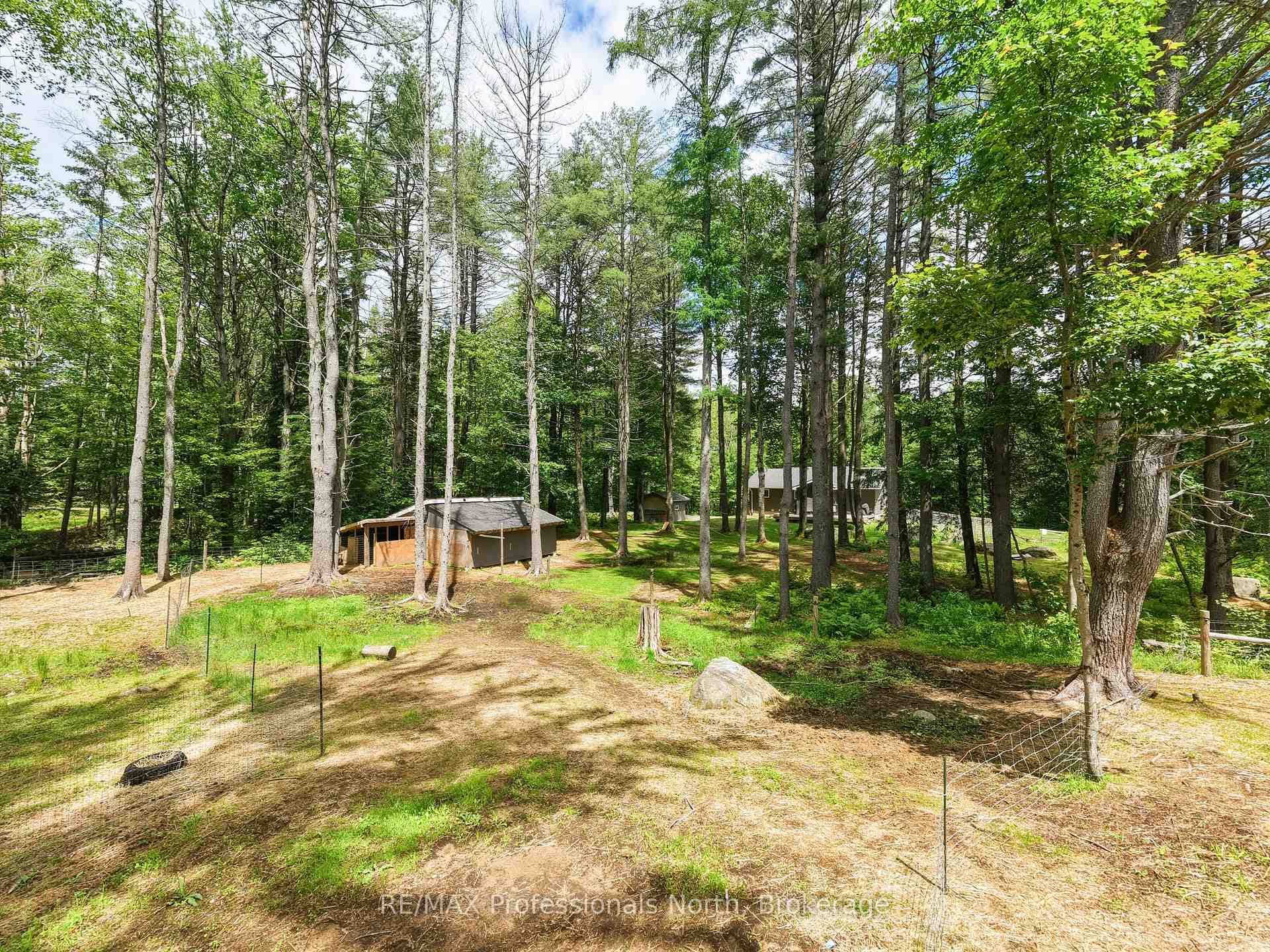 81 WATSON Lane photo 34