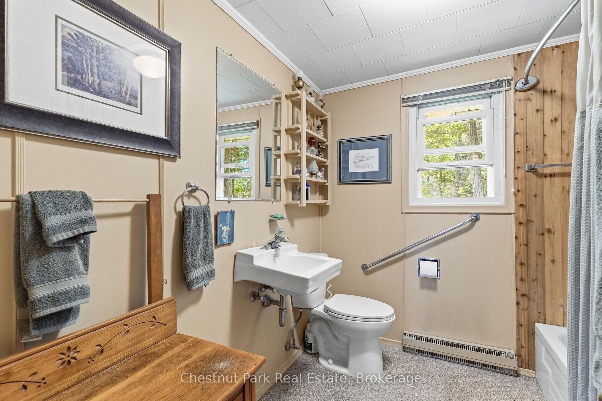300 Birch Acres Drive photo 16