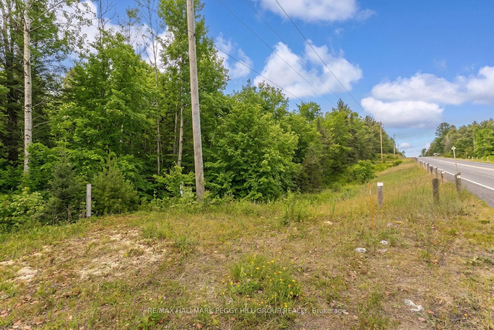 0 County Road 121 N/A photo 3