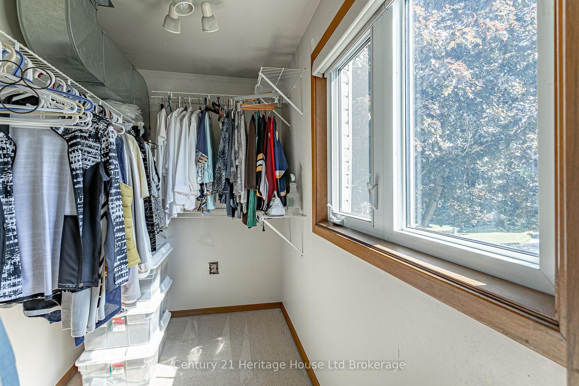 6 Millard Street photo 23