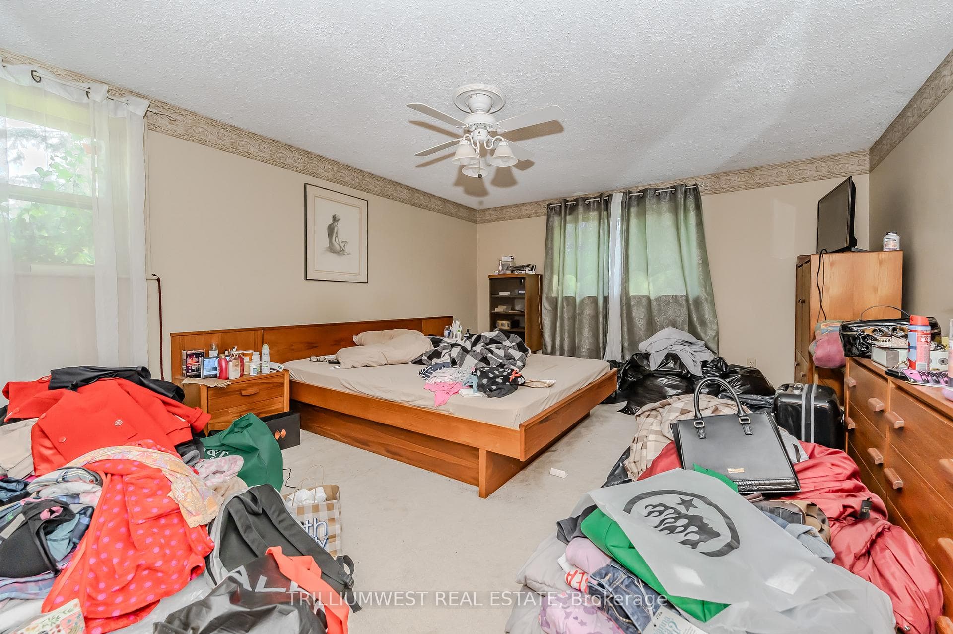 61 Limerick Drive photo 28