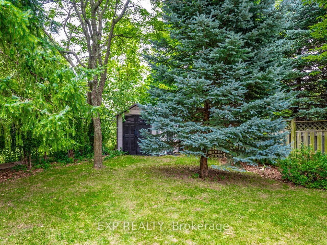 Backyard Shed