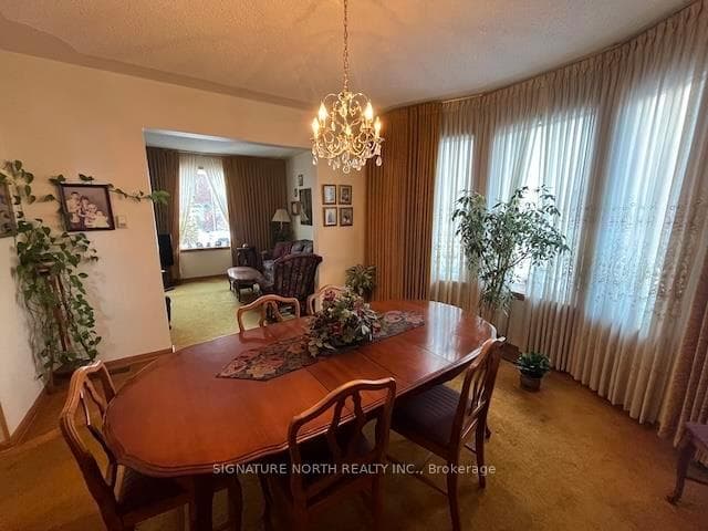 212 Cameron Street photo 11