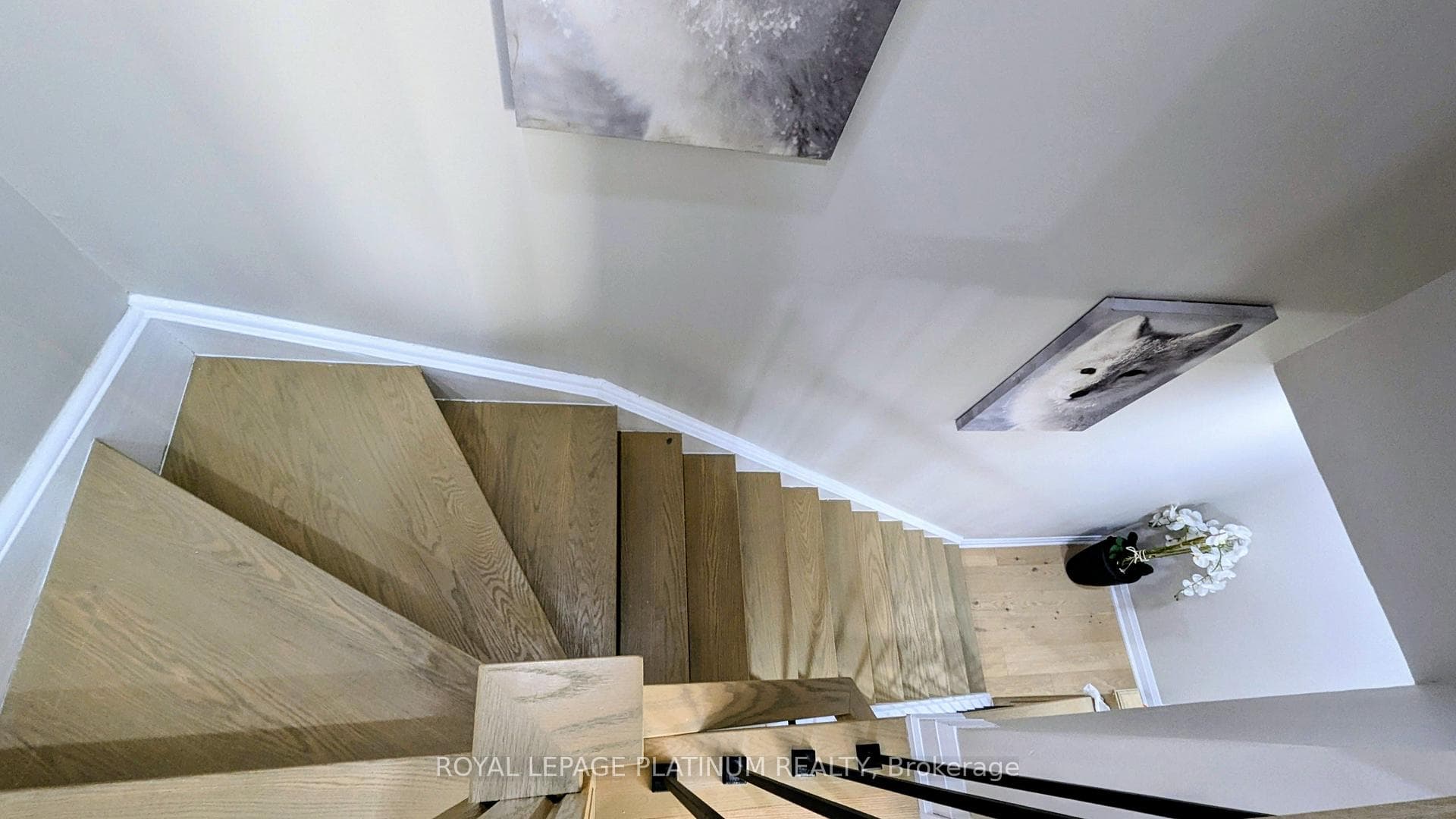 33 Greene Drive photo 12