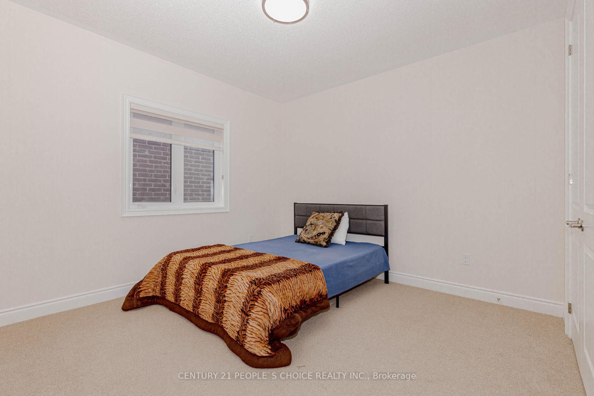 5 Bergin Street photo 44