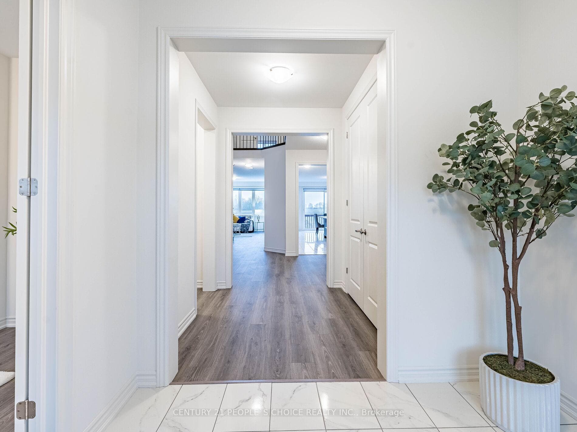 224 Rea Drive photo 6