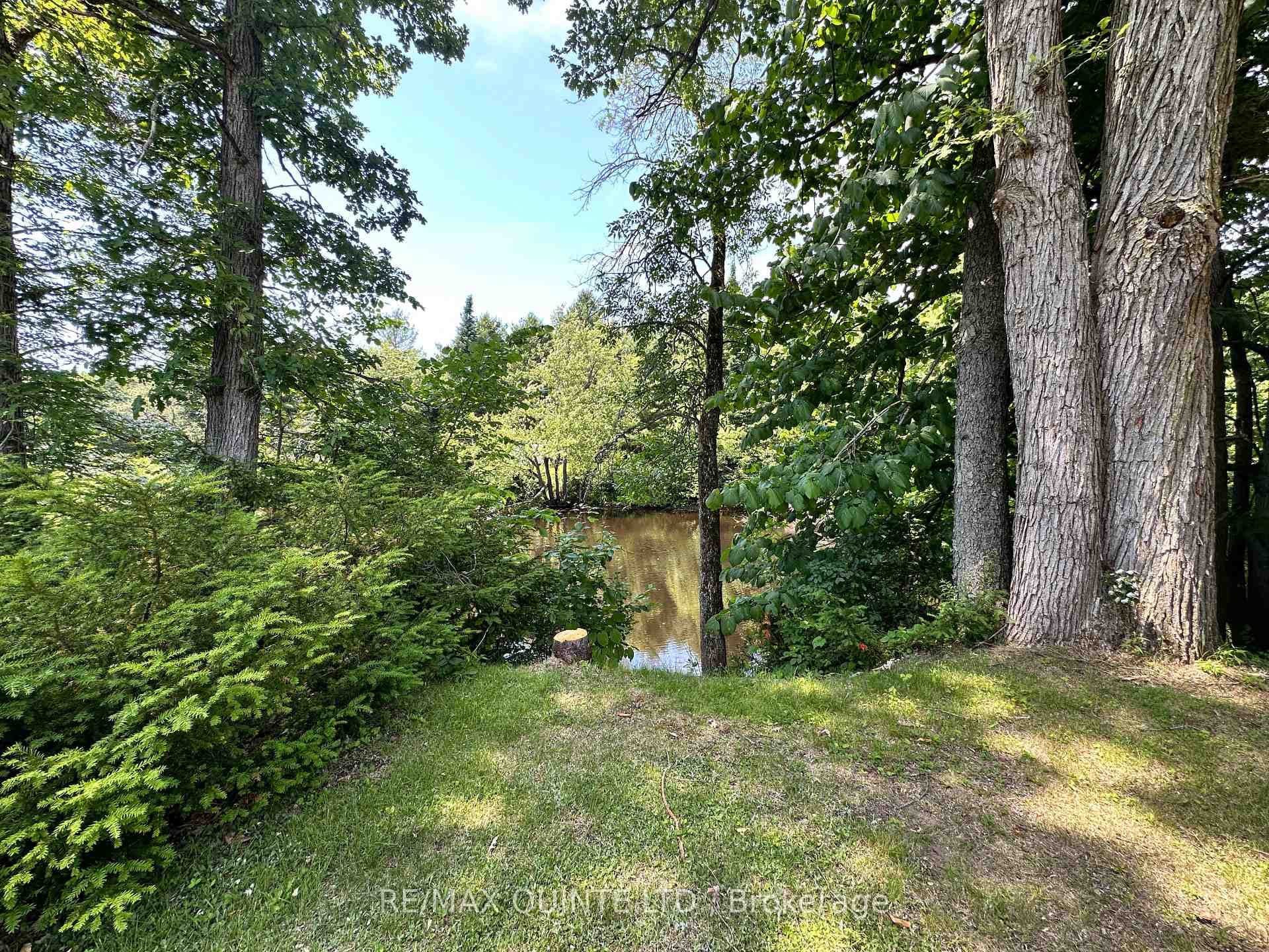 8431 HIGHWAY 37 N/A photo 18