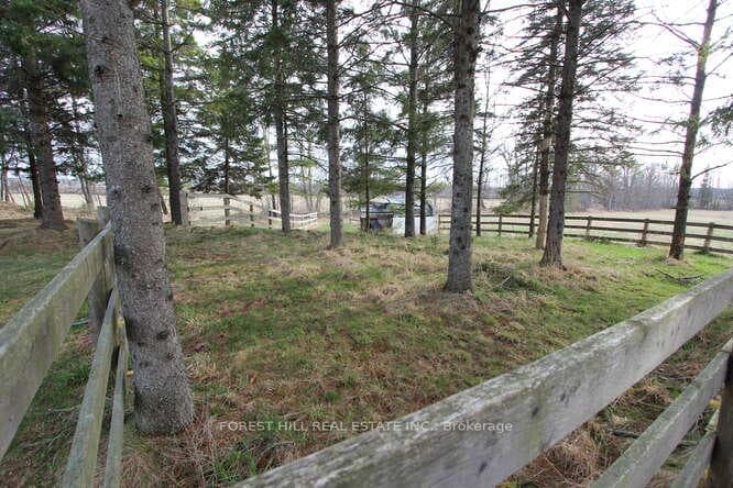 346 County Rd 40 N/A photo 25
