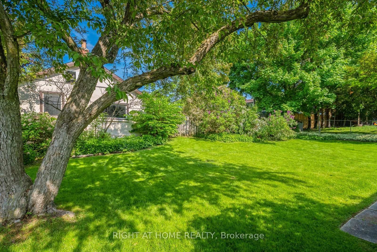 Beautifully maintained & fenced rear yard
