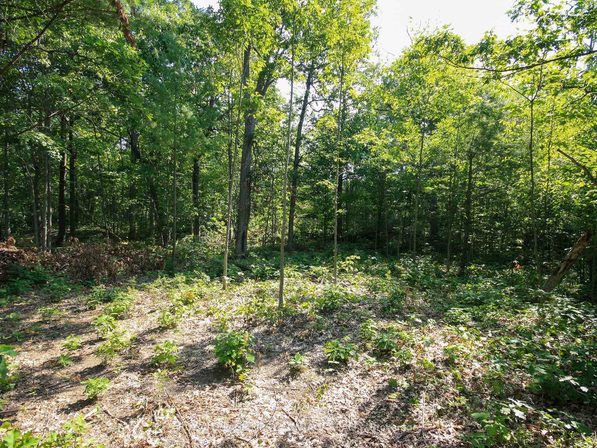 213 Birch Acres Drive photo 34