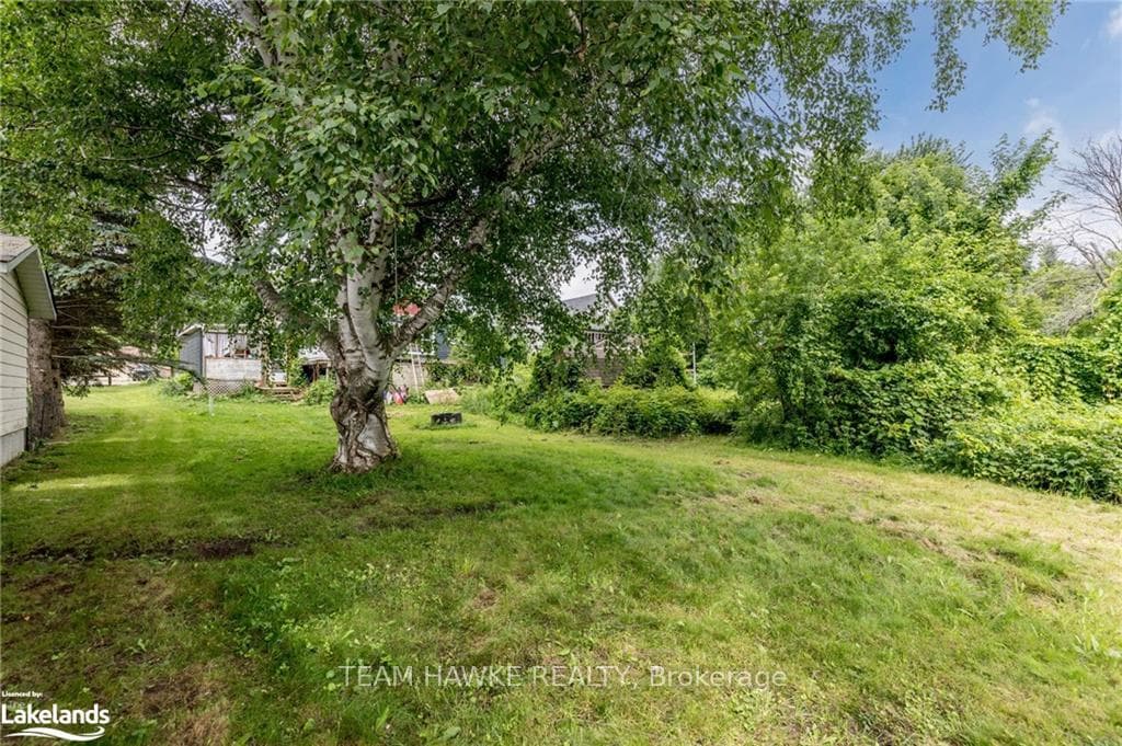 253 Park Street photo 16