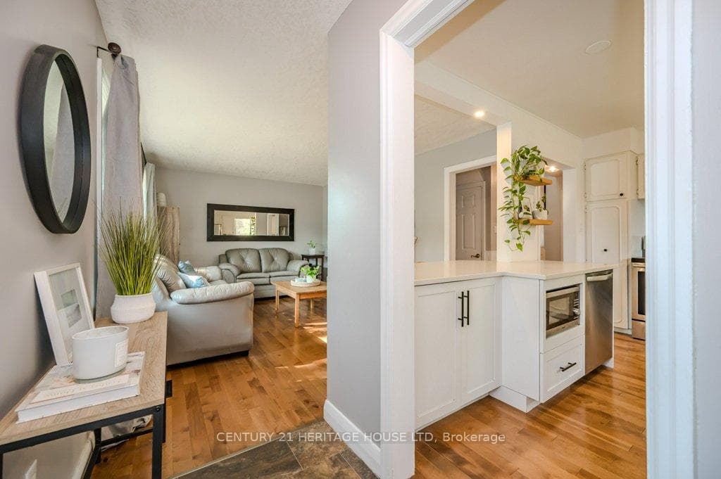 93 William Street photo 6