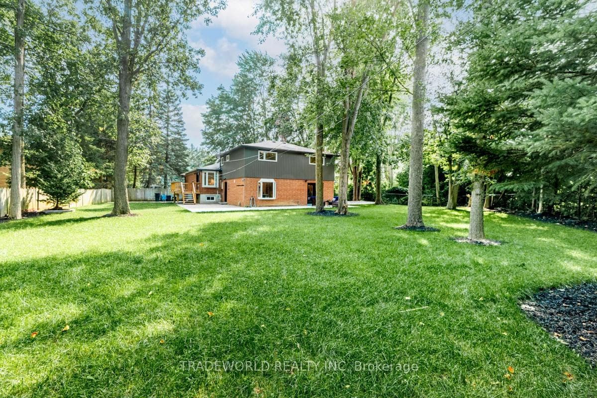 25 Jeremy Drive photo 34