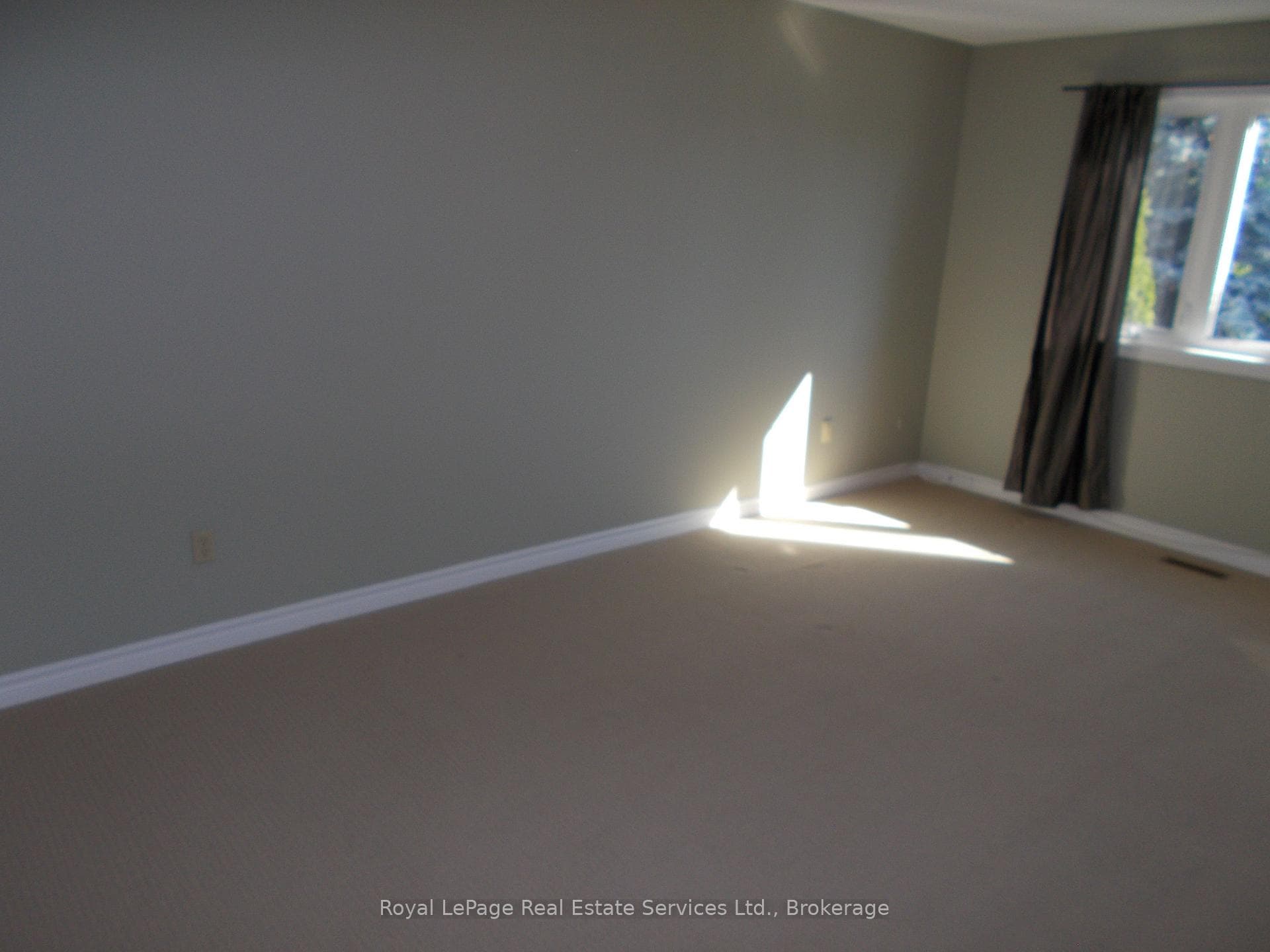 2208 Golden Briar Trail photo 13