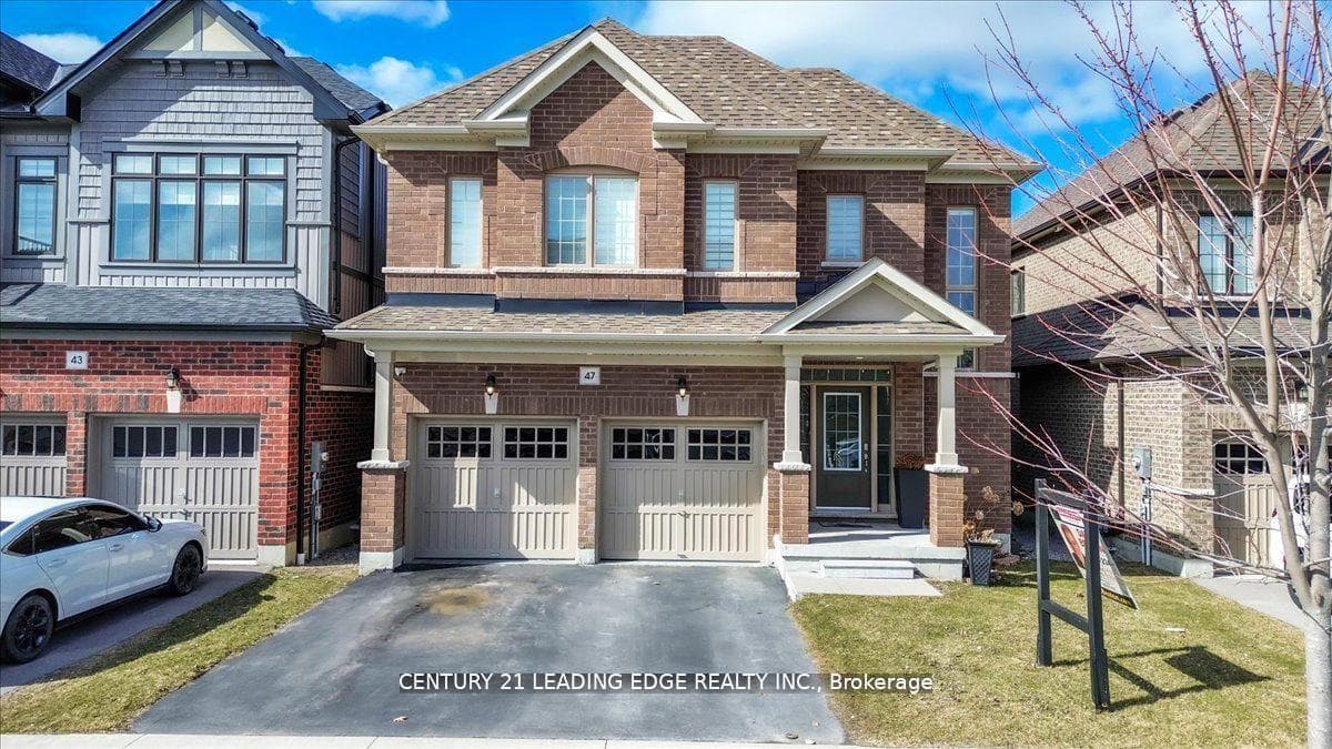 47 Crombie Street photo 8