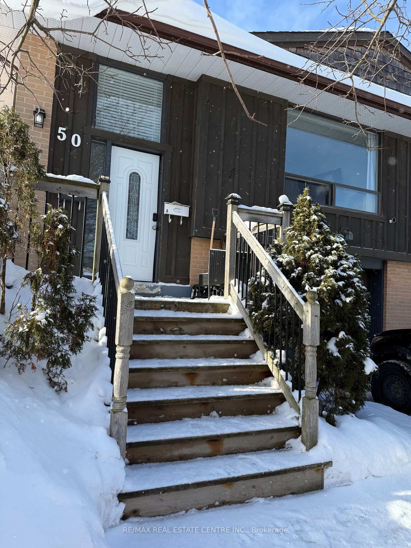 50 Marion Street photo 2