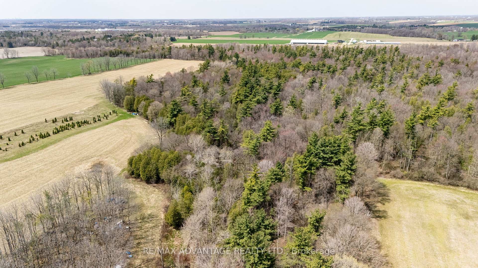 403353 Robinson Rd Road photo 13