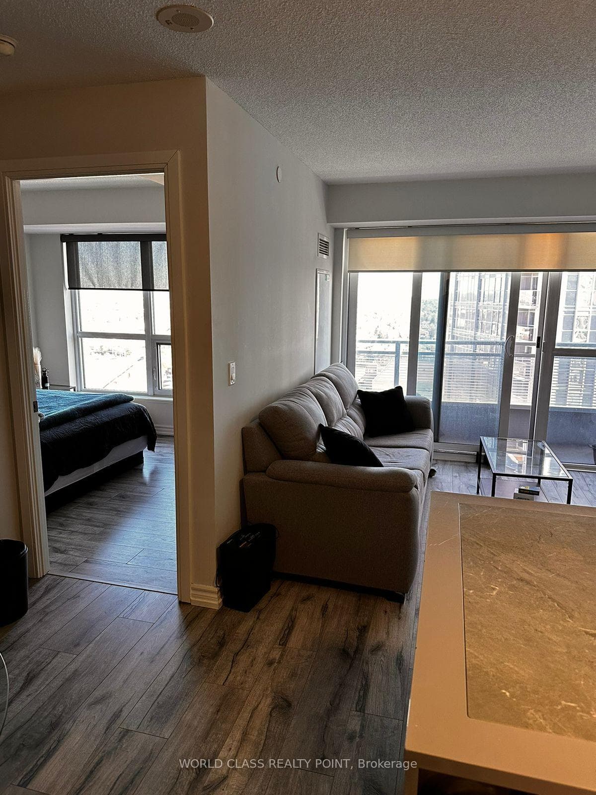 255 Village green Square Unit 2509 photo 9