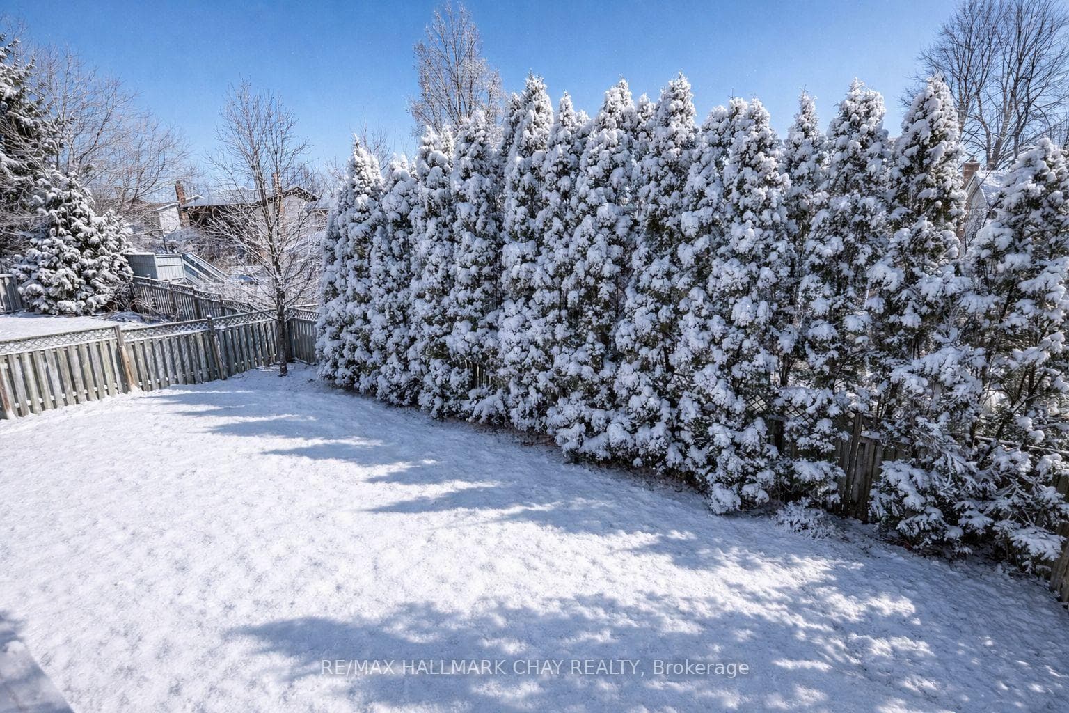 Large, private yard