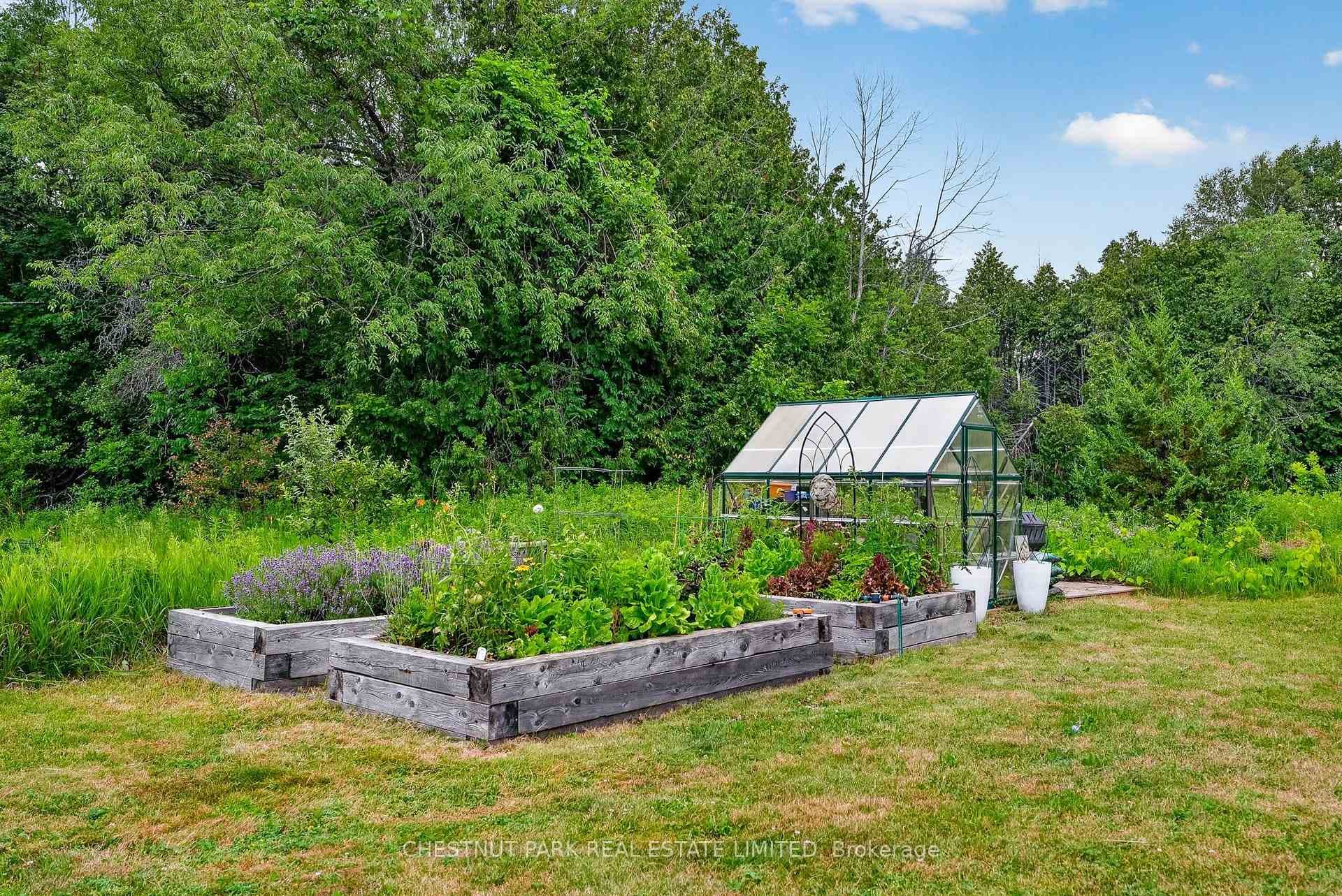 Raised beds & green house