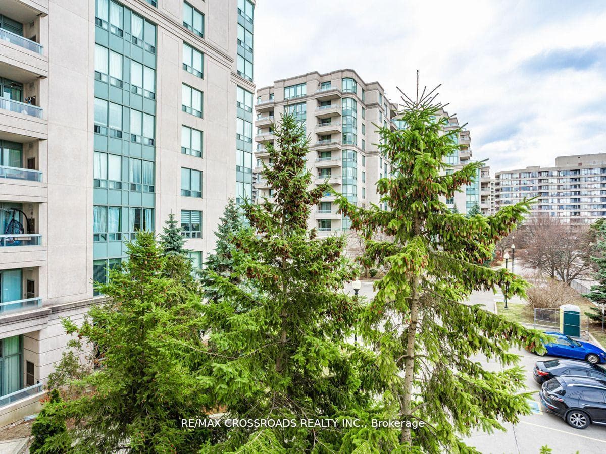 5 Emerald Lane Unit 302 photo 31