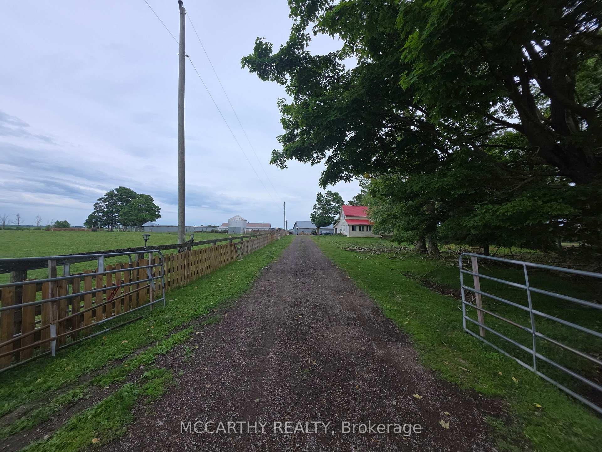 501098 Hwy # 89 N/A photo 4