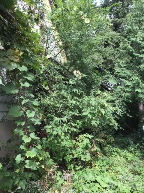 31 HARVARD Avenue photo 7