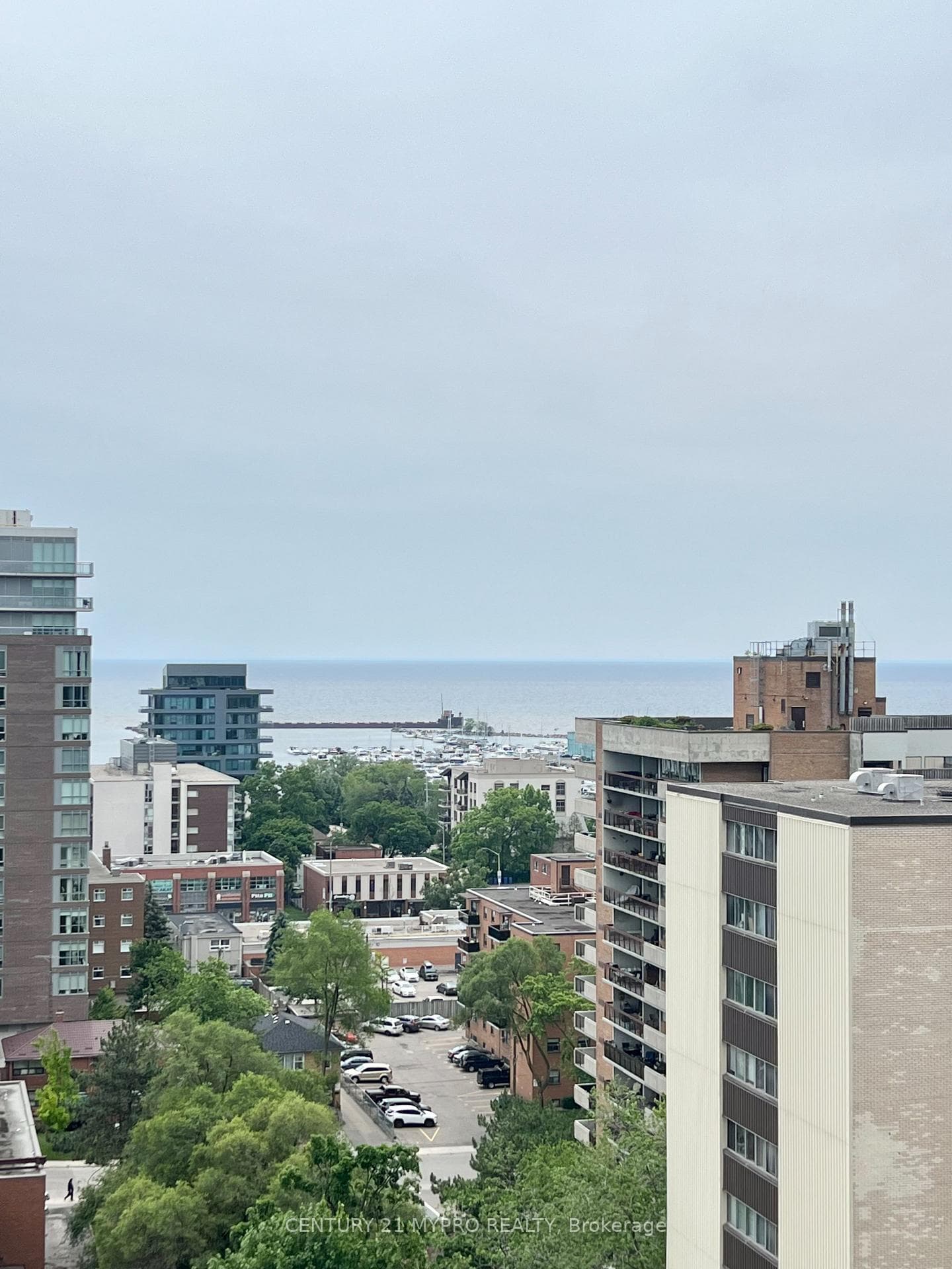 28 Ann Street Unit 1109 photo 17